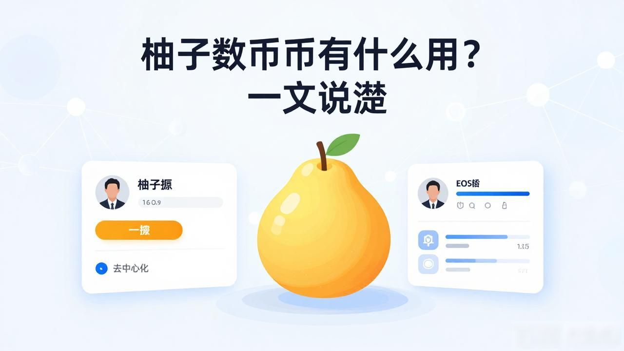柚子数字货币有什么用？一文说清楚
