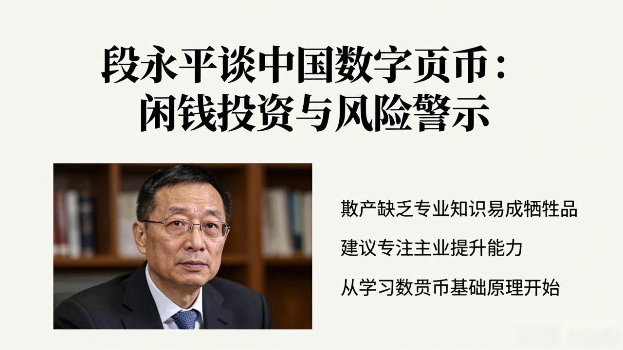 段永平谈中国数字货币：闲钱投资与风险警示
